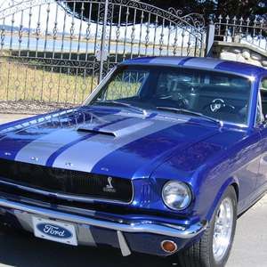 Meet your Posher, Carol